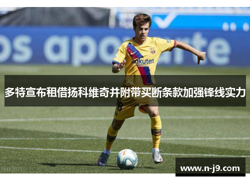 多特宣布租借扬科维奇并附带买断条款加强锋线实力 多特宣布租借扬科维奇并附带买断条款加强锋线实力